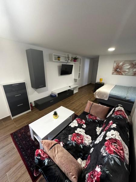 På bildet vises objektet Apartment Radić 1 som ligger i byen Žumberak.