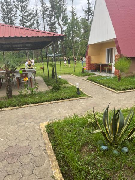 Ureki Cottage Guria Street Between 24- 26 Georgia Olympia - Georgia