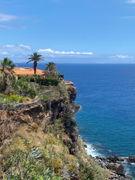 Nella foto è visibile l'oggetto Inn & Art Madeira situato nella città di Caniço.