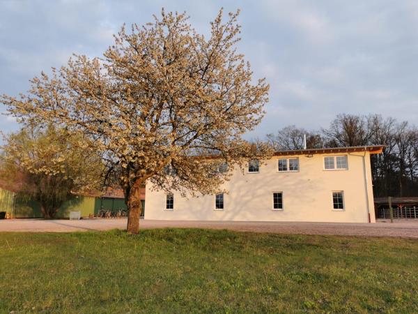 A la foto es mostra l'objecte Ferienwohnung Gestüt von Erden situat a la ciutat de Böhl-Iggelheim.