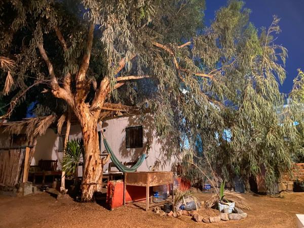 På bildet vises objektet Courtyard Eel Garden som ligger i byen Dahab.