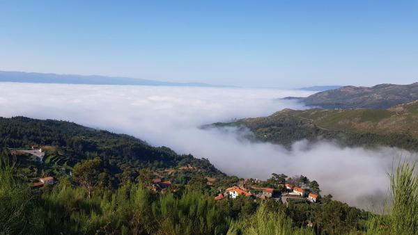 Casa Fina - Viseu