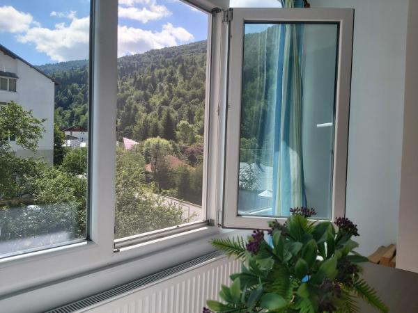 Apartment Valea Azugii - Predeal
