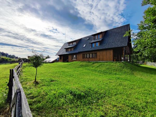 På billedet ses objektet Pensiunea Casa Alexandra beliggende i byen Ilva Mare.