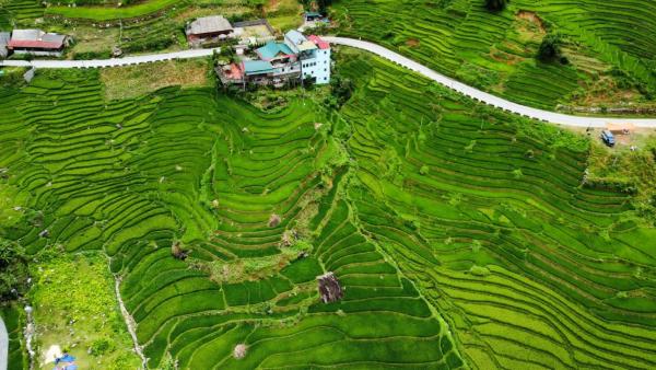 Nella foto è visibile l'oggetto Hoa's homestay Sapa situato nella città di Hao Su Ngai.