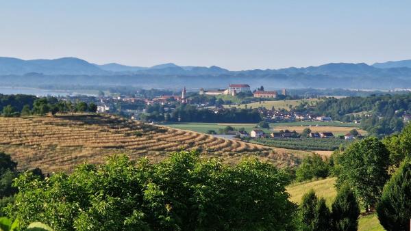 Apartma Pri Boru - Ptuj