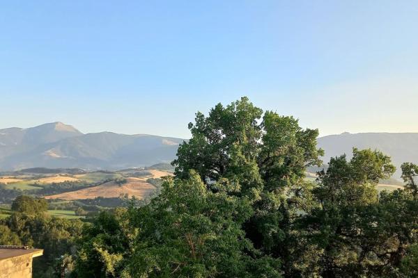 Fotografie 8: Pigno, appartamento in campagna