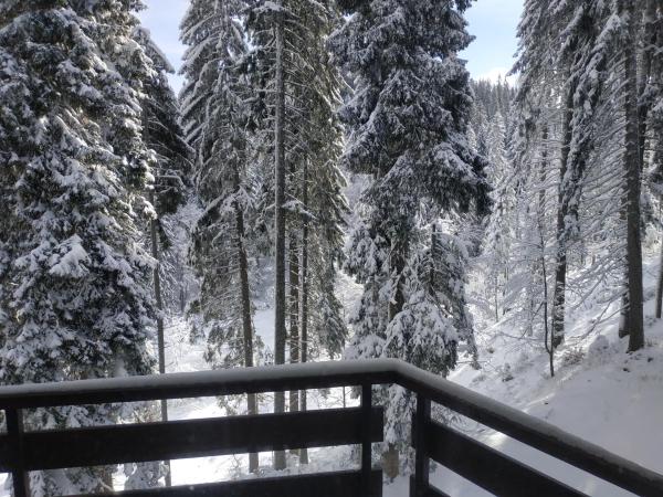 Zdjęcie 2: Ski & Holiday Apartments in Pamporovo