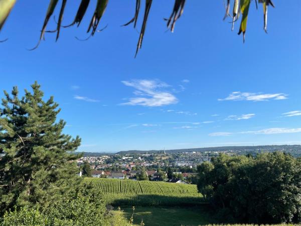 TINY-HOUSE mit Alpen- Stadt- und Poolblick , WLAN photo 8