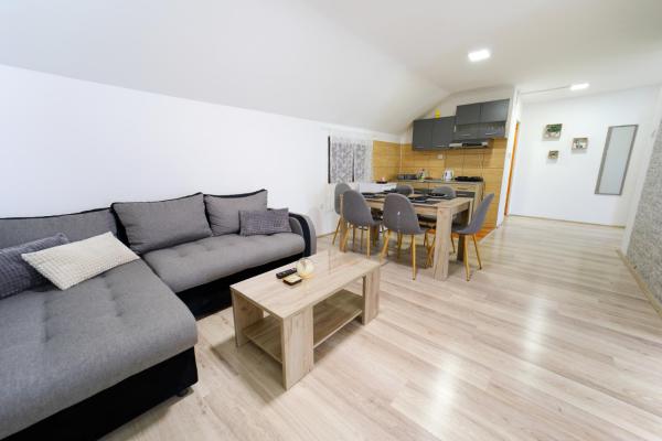 Studio Petra, Sokobanja