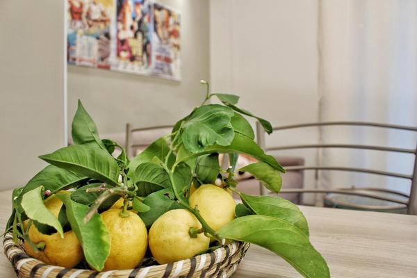 Flat 252 Sorrento Apartments - Sant'Agnello