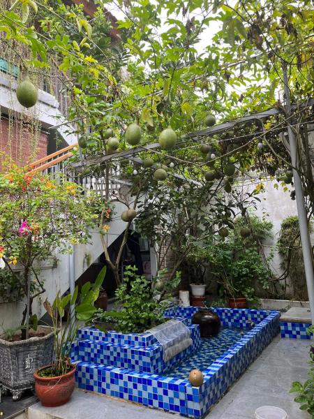 Op de foto is het object Asahi Luxstay - Homestay Đường Lâm Hostel te zien, gelegen in de stad Thịnh Thôn.