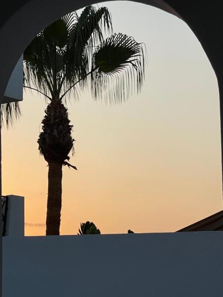 På billedet ses objektet Casa Palmera beliggende i byen Palomares.