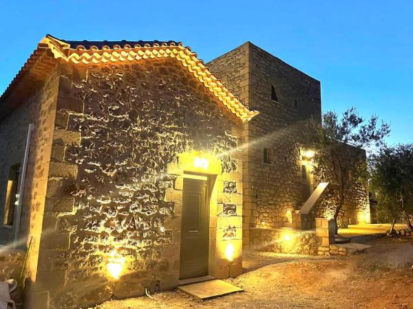A la foto es mostra l'objecte Elaionas Apartments 3 situat a la ciutat de Riglia.