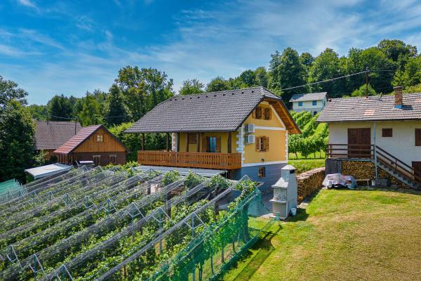 La photo montre l'objet Vineyard Cottage Stepan - Happy Rentals situé dans la ville de Črnomelj.