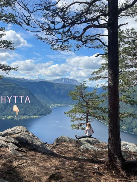 写真にはHåkånes市にあるStor hytte med 4 soverom og panoramautsikt over Tinnsjøen ved Rjukan og Gaustatoppenが写っています。