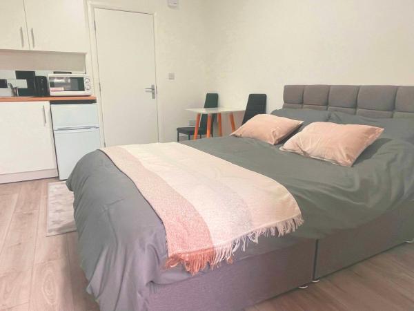 Studio flat private bathroom wc and kitchenette, London