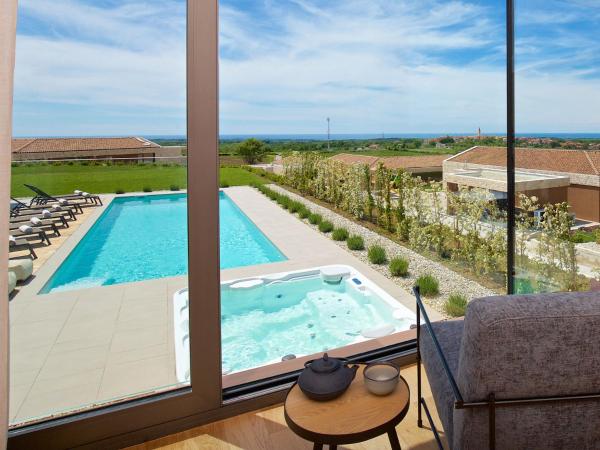 Villa Vigneto By Interhome - Novigrad