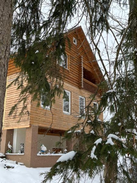 A la foto es mostra l'objecte Beautiful house situat a la ciutat de Pilipets.