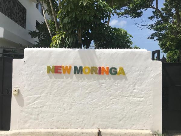 Na foto é possível ver o objeto NEW MORINGA localizado na cidade de Las Terrenas.
