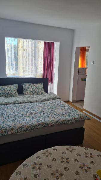 På bilden syns objektet Studio Chic Symphony parcare privata som ligger i staden Micălaca.