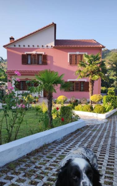 A la foto es mostra l'objecte Guesthouse Ndroq situat a la ciutat de Ndroq.