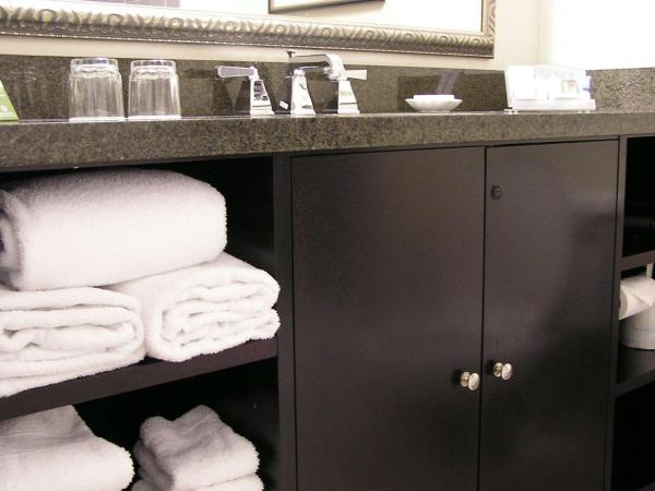 Værelse med kingsize-seng – ikkeryger — 24 m² - DoubleTree by Hilton Charlotte Airport