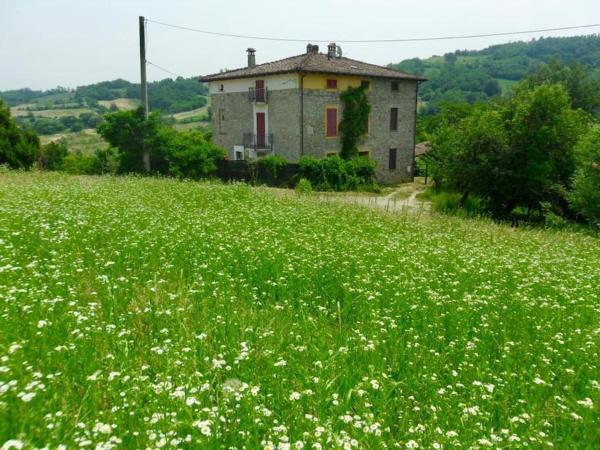 Cento Giorni Dall'artista - Piacenza