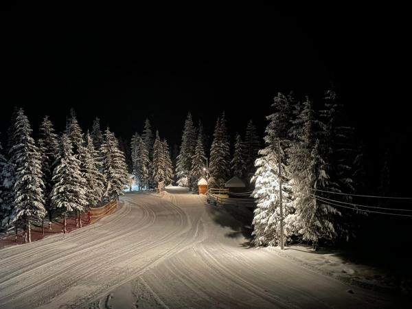 Fotografie 9: Оаза
