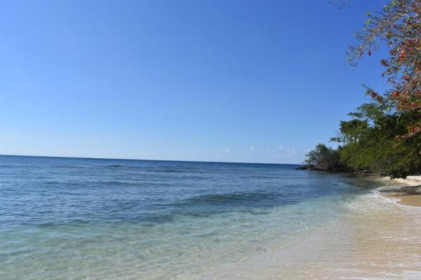 Na fotografii je vidět objekt Irie Vibes by the beach nacházející se ve městě Negril.
