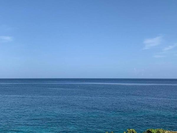 Na zdjęciu widoczny jest obiekt Irie Vibes Ocean View położony w mieście Negril.
