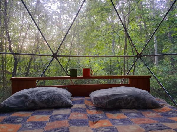 Στη φωτογραφία φαίνεται το αντικείμενο Forest Hut που βρίσκεται στην πόλη Bigauņciems.