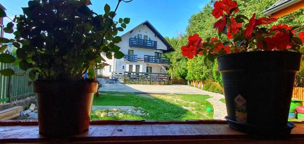 A la foto es mostra l'objecte Mery's Home situat a la ciutat de Bran.