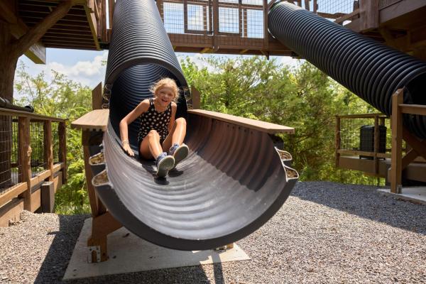 "Tarzan & Jane" Jungle-themed Double Luxury Family Treehouse For 12 Near Dollywood & Pigeon Forge - Sevierville, TN