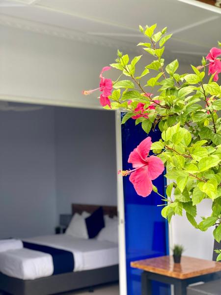 På bilden syns objektet Tides Dhigurah som ligger i staden Dhigurah.