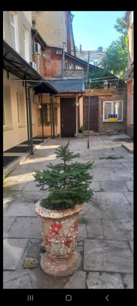 Φωτογραφία 2: Александровский