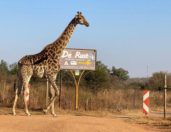 Nella foto è visibile l'oggetto De Rust Campsite situato nella città di Sekampaneng.
