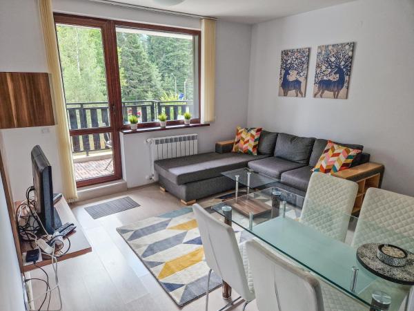 A la foto es mostra l'objecte Sunny Apartment C25 situat a la ciutat de Borovets.
