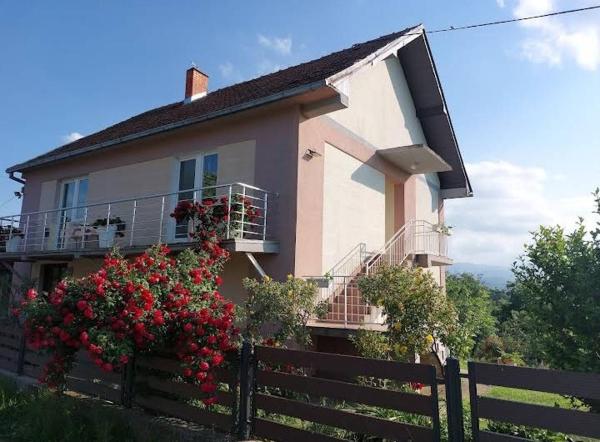 A la foto es mostra l'objecte Seosko domacinstvo Nedic situat a la ciutat de Valjevo.