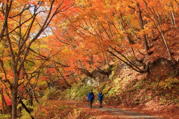 A la foto es mostra l'objecte Urabandai Lake Resort Goshiki no Mori situat a la ciutat de Ōshio.