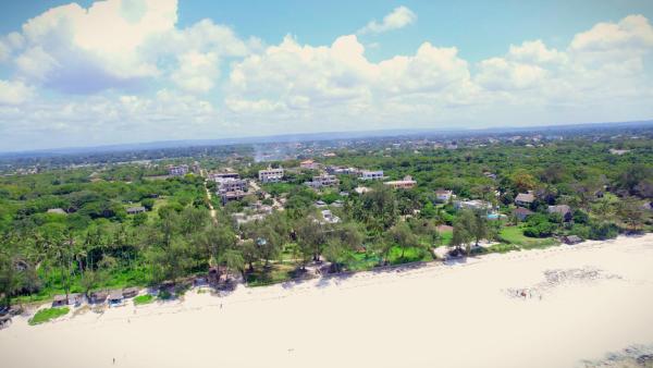 The Pool House & The Colobus House, Diani Beach Calm Living Kenya - Diani Beach