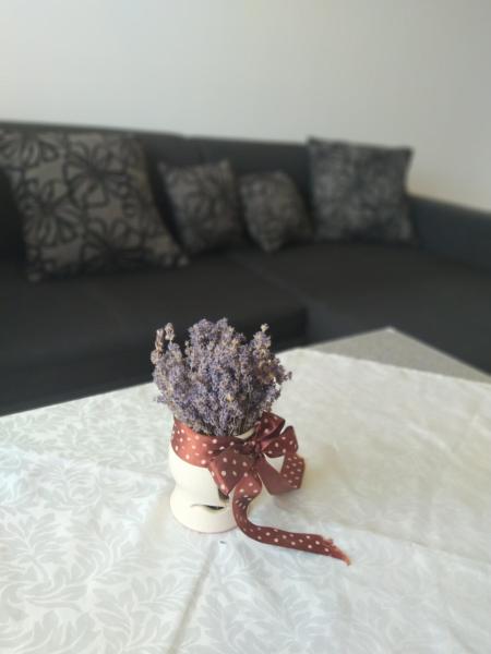 写真にはSajókápolna市にあるSweet Home Appartmanが写っています。