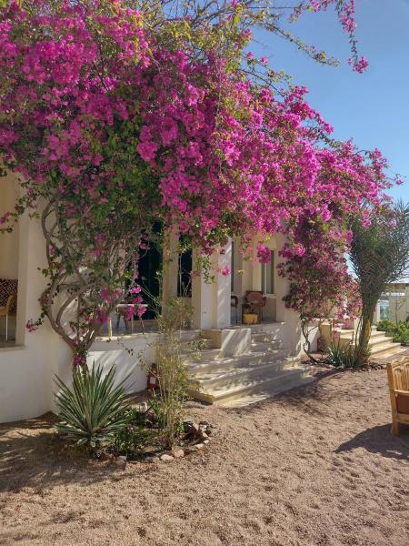 På bildet vises objektet Marine Garden Camp som ligger i byen Dahab.