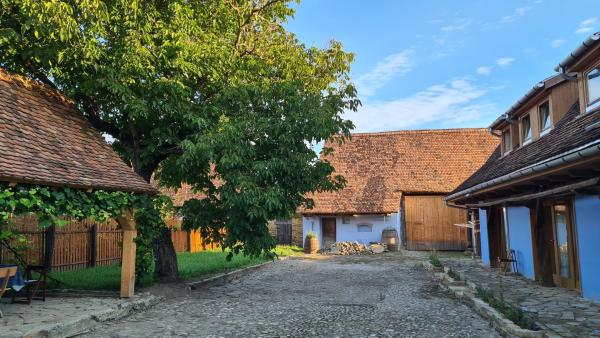 A la foto es mostra l'objecte Haus Rether - Transylvanian Guesthouse situat a la ciutat de Buneşti.