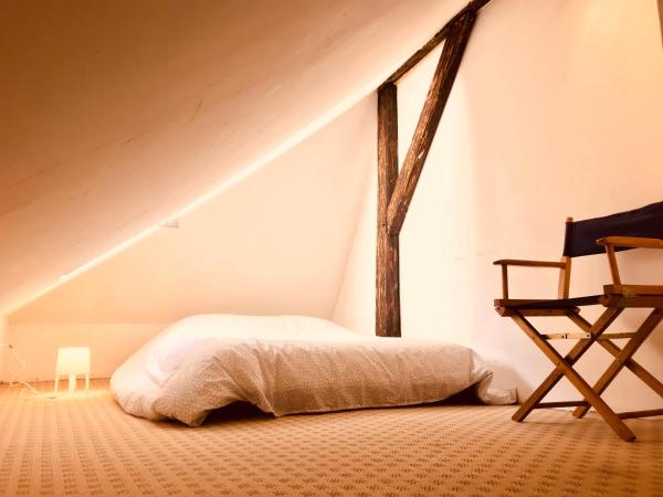 Attic Duplex in the Heart of Strasbourgの写真7
