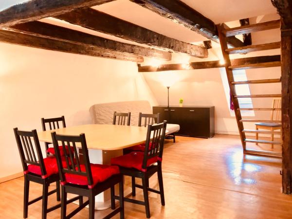 Attic Duplex in the Heart of Strasbourgの写真3