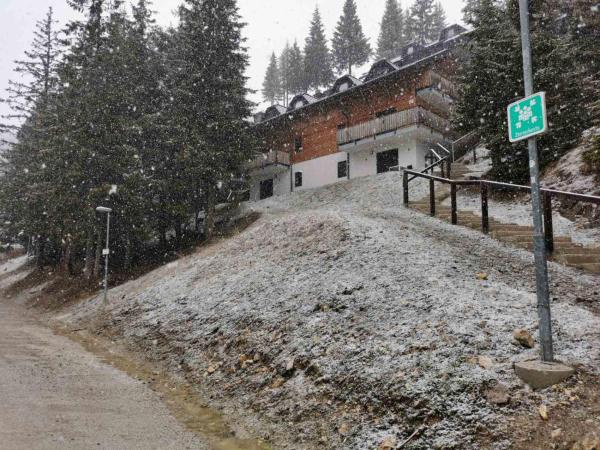 A la foto es mostra l'objecte Apartma Med smrekami Golte situat a la ciutat de Mozirje.
