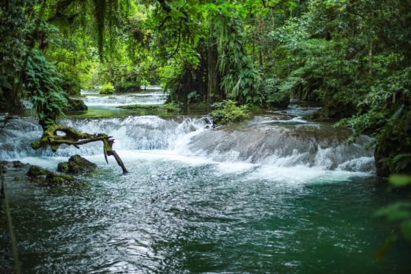 Stay at Eden on the River, Port Vila
