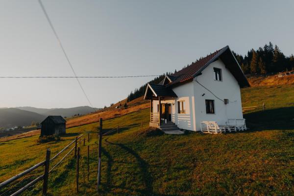 Nella foto è visibile l'oggetto Pleta View situato nella città di Vatra Dornei.