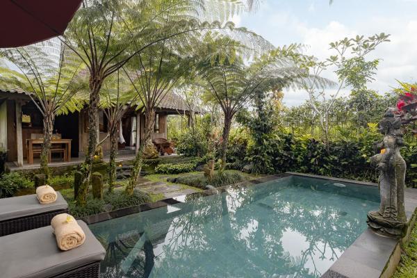 Moringa Ubud Villa - Bali